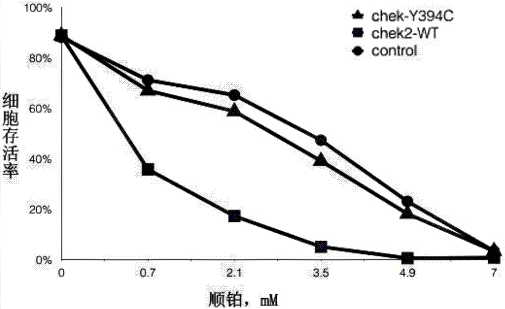 一種判斷三陰性乳腺癌抗藥性的方法與流程