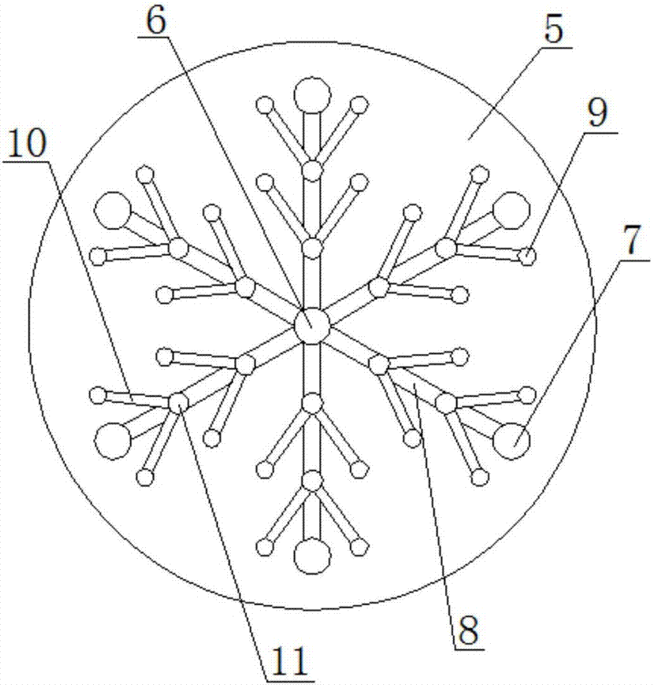 用于現(xiàn)場(chǎng)檢測(cè)水樣中重金屬離子的便攜式目測(cè)熒光儀及方法與流程