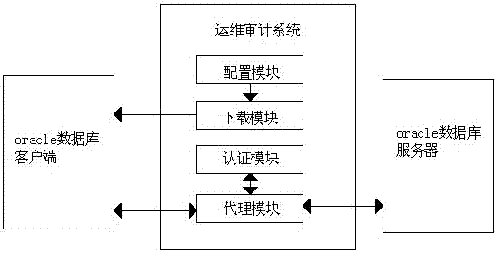 一種應(yīng)用于運(yùn)維審計(jì)系統(tǒng)的oracle數(shù)據(jù)庫(kù)的訪問(wèn)方法與流程