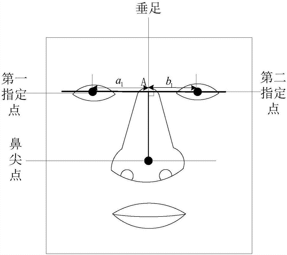 一種人臉偏轉(zhuǎn)角度和俯仰角度的檢測方法和裝置與流程