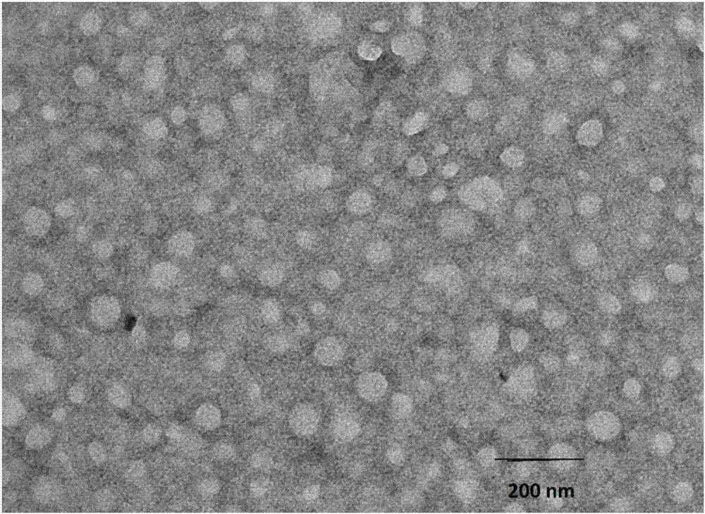 一種鹽酸阿霉素自組裝聚合物納米粒及其制備方法與流程