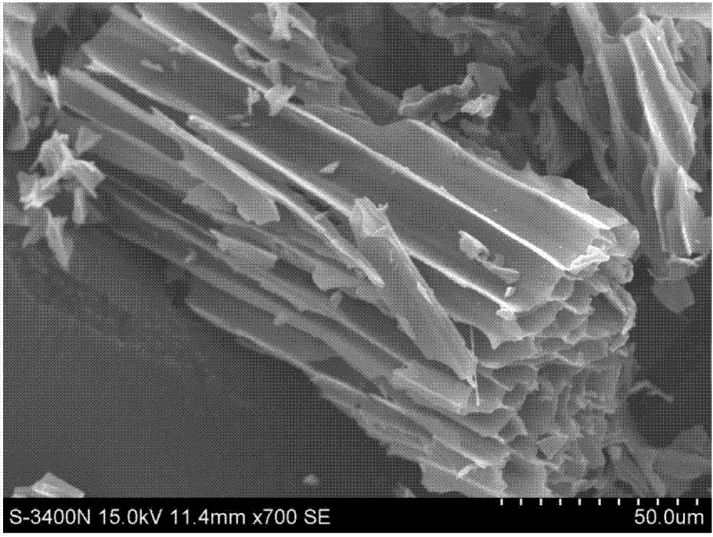 一种天萝筋氮掺杂碳纳米材料的制备方法与流程