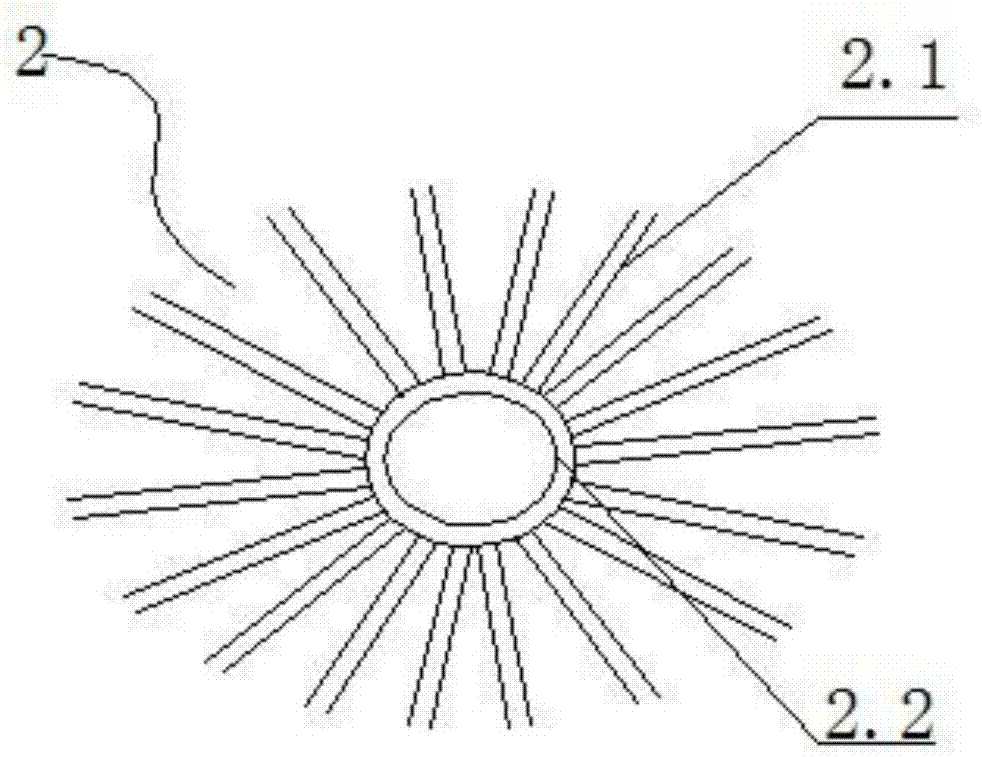 一种纯天然生物载体填料及用于污水处理的方法与流程