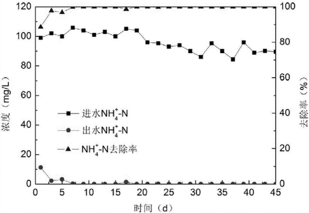 快速啟動厭氧氨氧化耦合反硝化協(xié)同脫氮反應(yīng)器的方法與流程