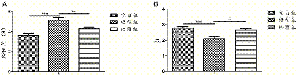 糞菌移植在治療帕金森病方面的應(yīng)用的制造方法與工藝