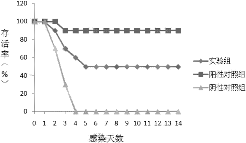 一种马链球菌兽疫亚种保护性抗原SZO_430及其制备方法与流程