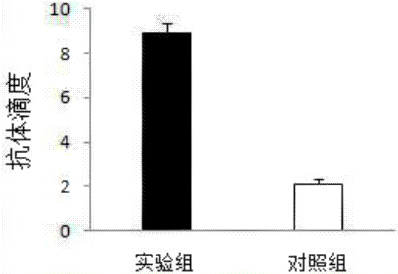 一種馬鏈球菌獸疫亞種保護(hù)性抗原HP0623及其制備方法與流程