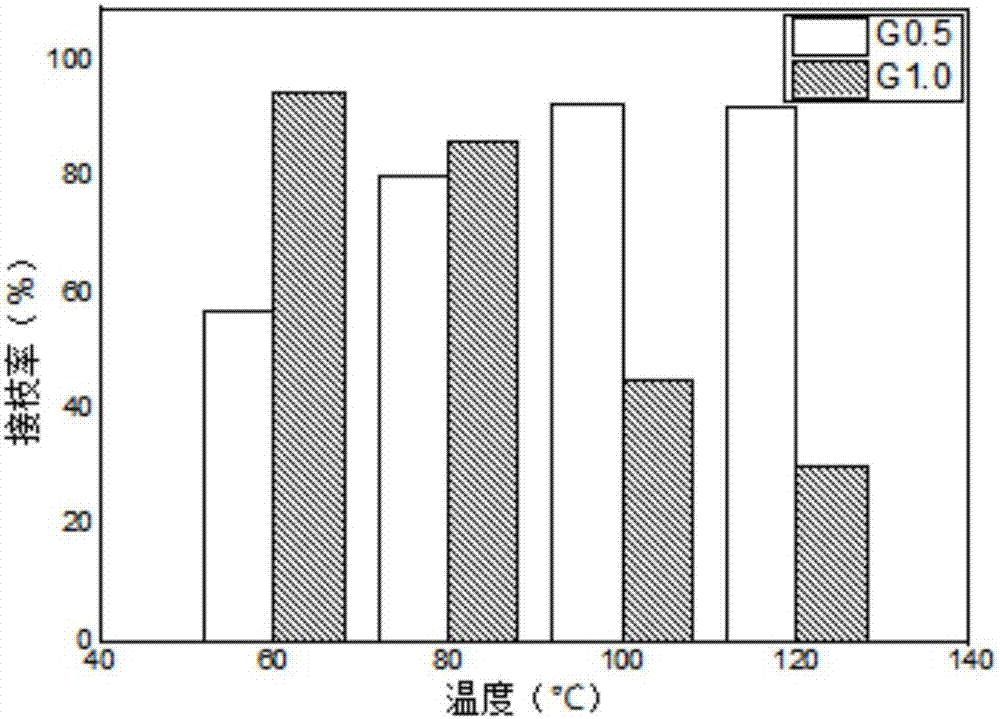 一種新型樹(shù)形化殺菌微球及其制備方法和應(yīng)用與流程