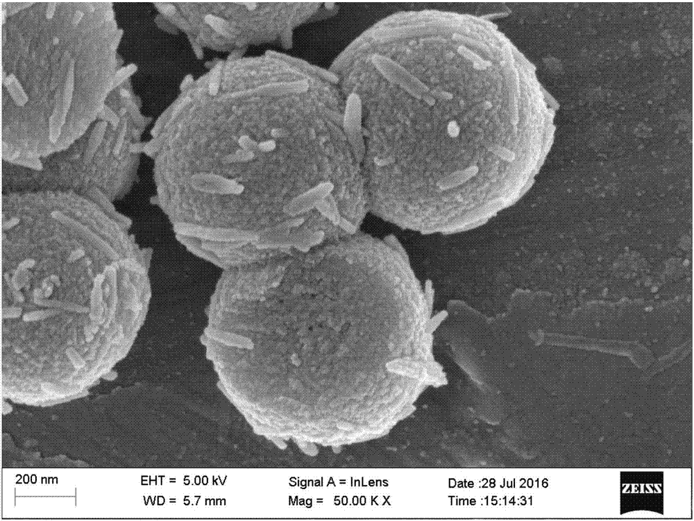 一种以微纳米生物活性玻璃作为Pickering乳液稳定粒子制备聚合物微球的方法与流程
