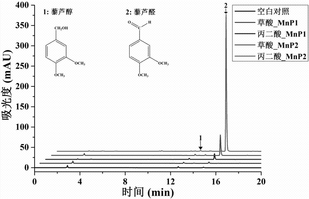 降解非酚型木质素的方法与流程