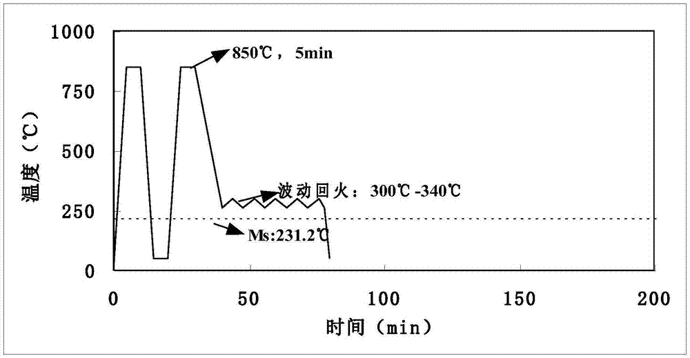 一種波動式回火工藝方法與流程