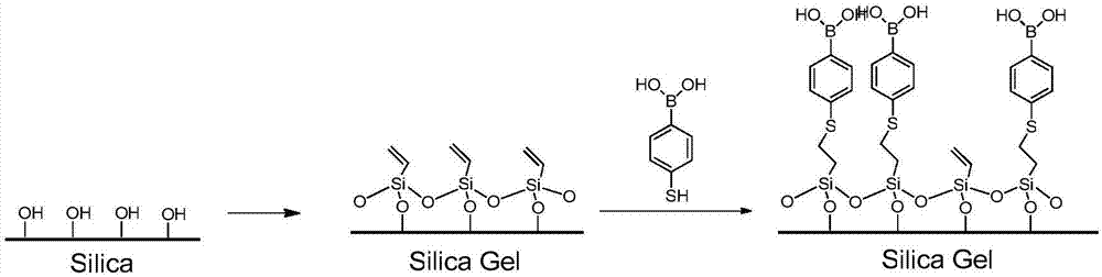 苯硼酸修飾硅膠功能色譜填料、制備方法與應(yīng)用與流程
