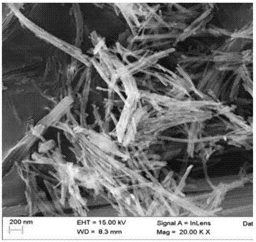 一种制备纤维状多孔SiO2纳米材料的方法与流程