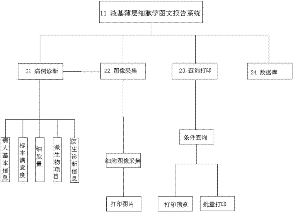 液基薄層細胞學圖文報告系統(tǒng)的制造方法與工藝