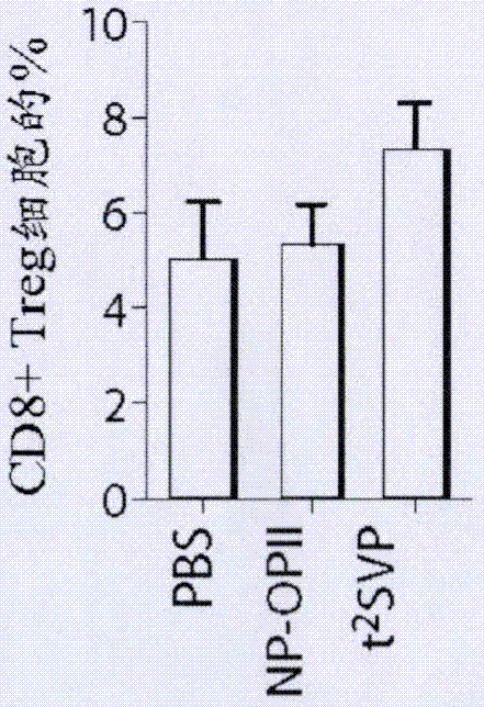 用于產(chǎn)生CD8+調(diào)節(jié)性T細胞的致耐受性合成納米載體的制造方法與工藝