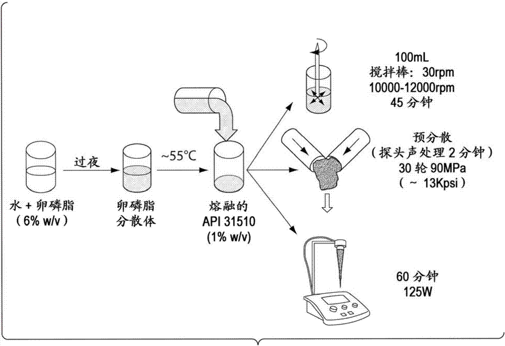 可吸入药物组合物的制造方法与工艺