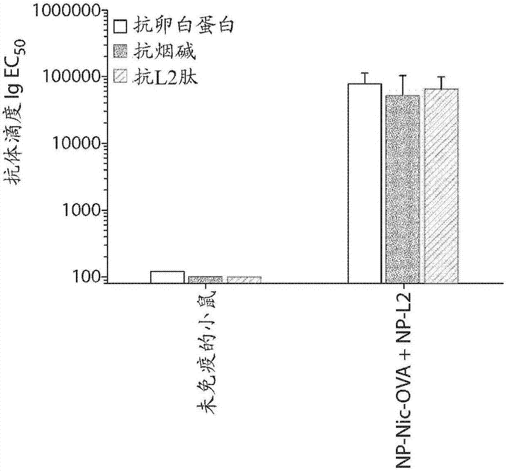 多價的合成納米載體疫苗的制造方法與工藝