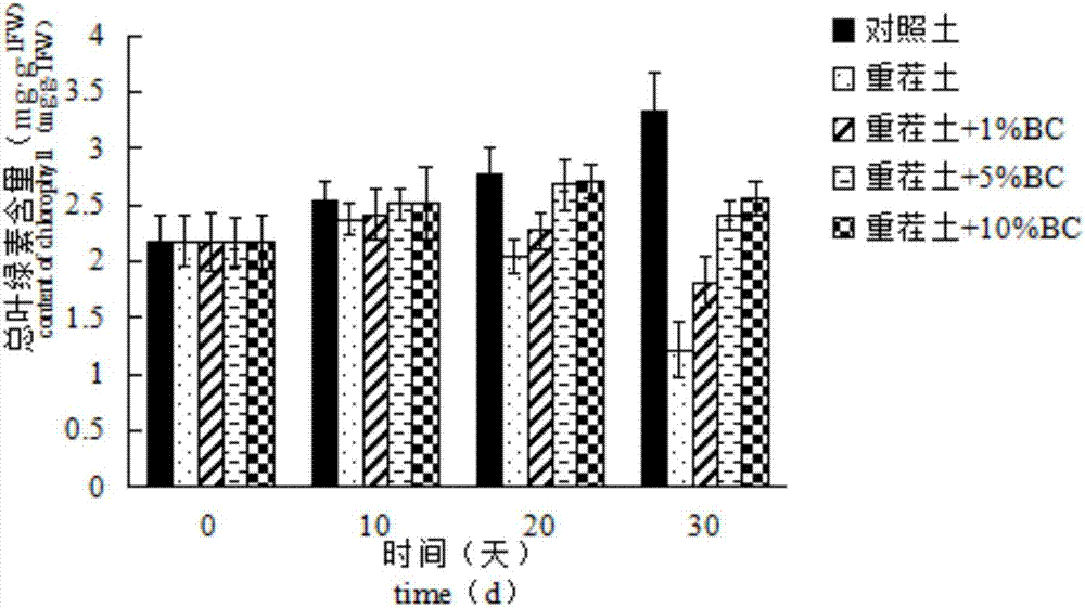 一种连作条件下广藿香幼苗的种植方法与流程