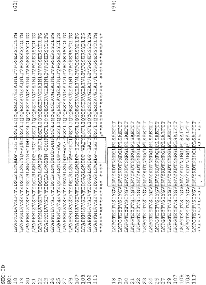 结合EGFR和C‑MET III型纤连蛋白域的分子的制造方法与工艺