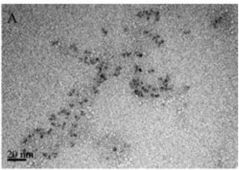 用于检测链霉素的链霉素分子印迹‑量子点聚合物及制备方法与流程