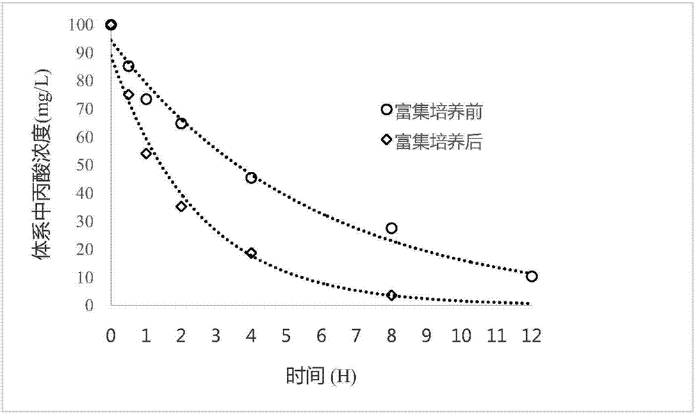 一種厭氧條件下富集培養(yǎng)丙酸氧化菌及其互營共生菌群的方法與流程