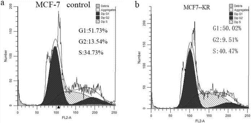 一種細(xì)胞周期阻滯劑KR在人乳腺癌細(xì)胞中的應(yīng)用的制造方法與工藝