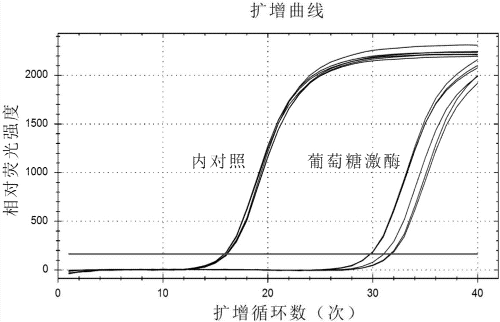 葡萄糖激酶在人重組FGF21蛋白活性檢測(cè)中的應(yīng)用的制造方法與工藝