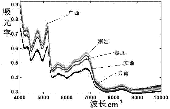 一種近紅外光譜快速檢測三葉青產地方法與流程