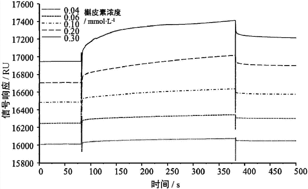 測定槲皮素與蛋白結(jié)合水平的表面等離子體共振分析方法與流程