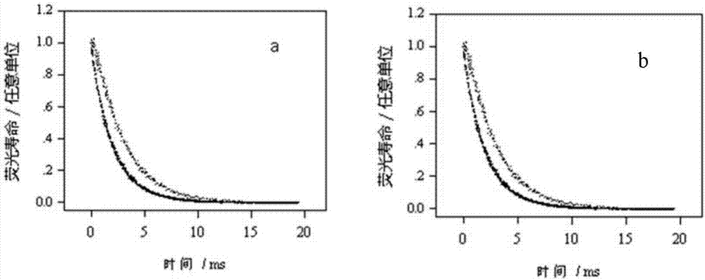 双重功能玻璃陶瓷材料和使用其的双面太阳能电池的制造方法与工艺