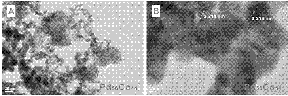 珊瑚狀PdCo二元合金催化劑的制備方法及應(yīng)用與流程