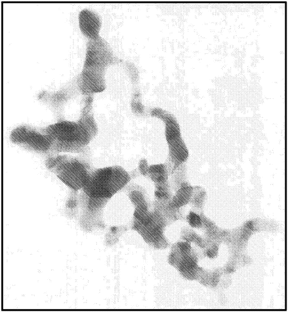 納米顆粒處理的織物、纖維、長絲和紗線和有關(guān)方法與流程