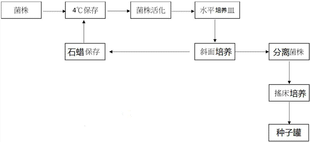 活化發(fā)酵方法及發(fā)酵液和飲料與流程