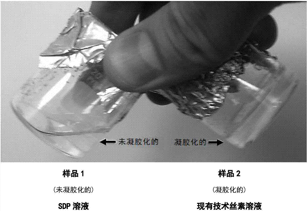 絲素衍生的蛋白質(zhì)組合物的制造方法與工藝