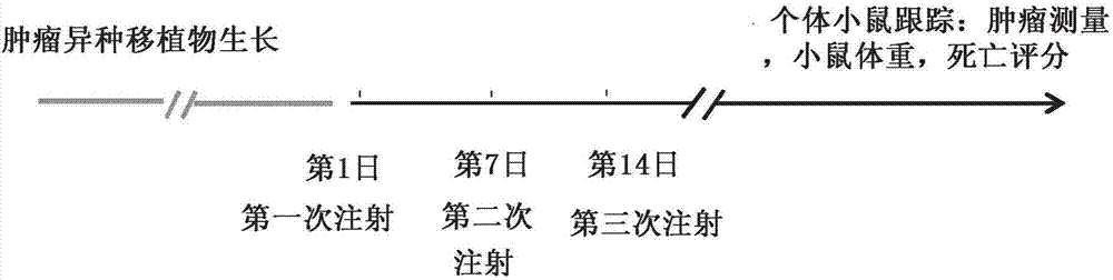 藥物組合物、其制備和用途的制造方法與工藝