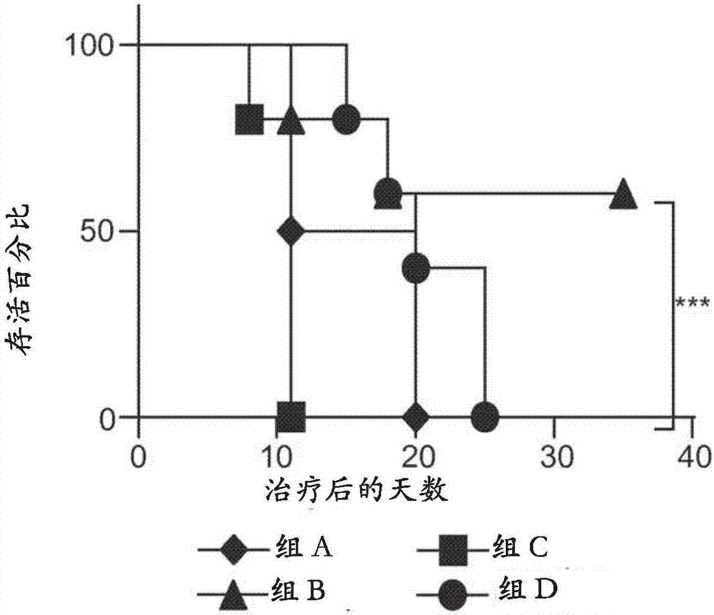 用于治療腫瘤的方法和治療組合與流程
