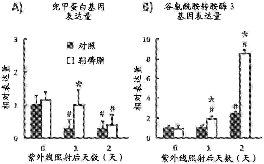 兜甲蛋白减少的抑制/改善剂、谷氨酰胺转胺酶3激活剂和皮肤角质层角质化包膜的形成促进/结构增强剂的制造方法与工艺