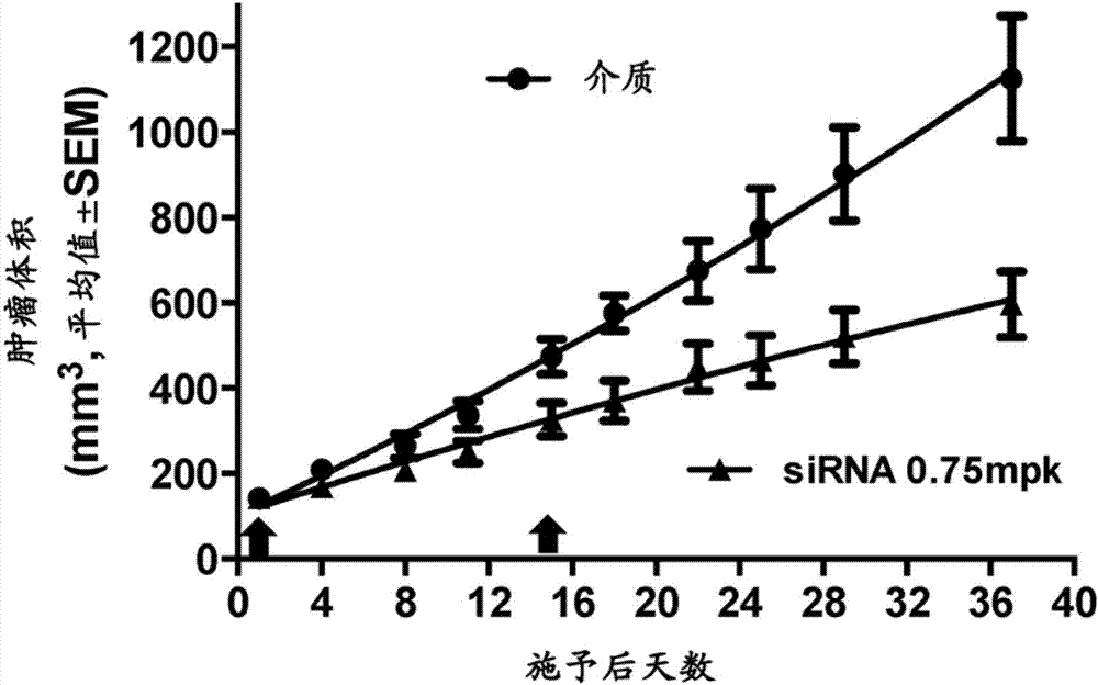 用于GST?PI基因調(diào)節(jié)的RNA干擾劑的制造方法與工藝