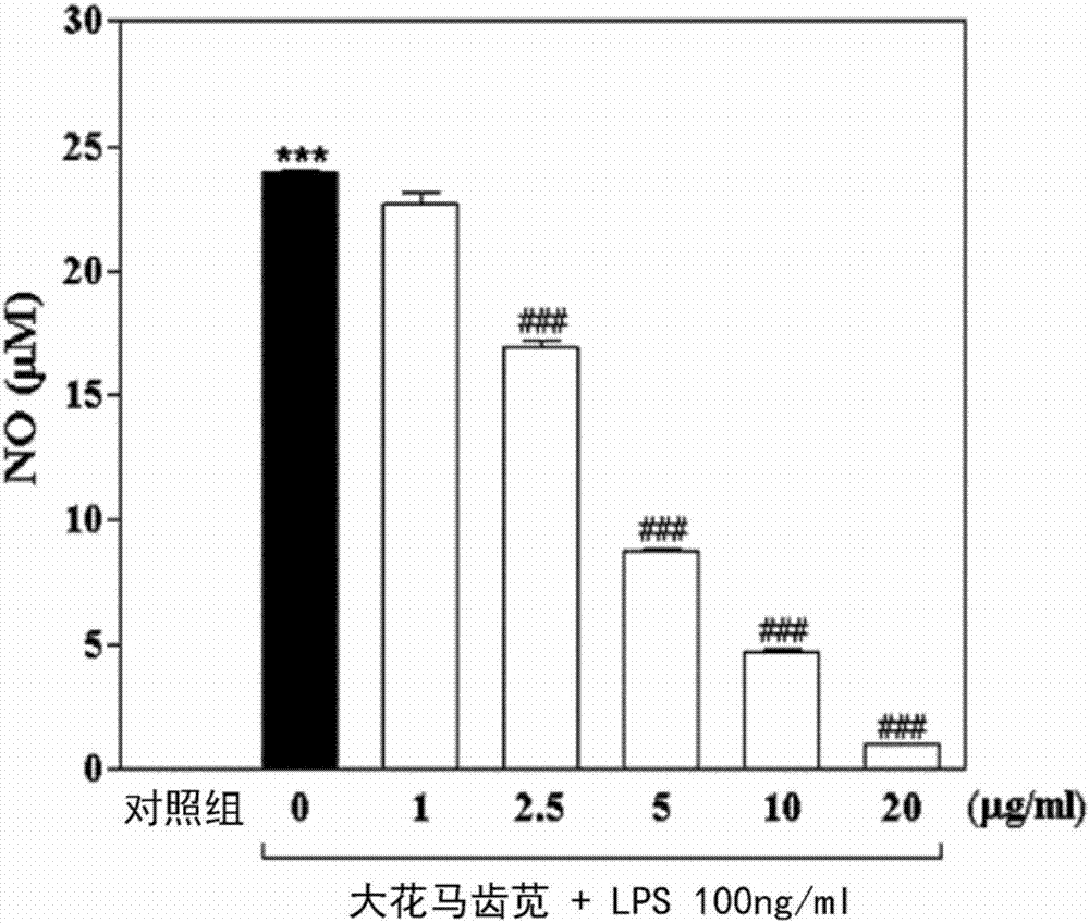 包含大花马齿苋提取物或其馏分作为活性成分用于预防或治疗神经炎症或者神经退行性疾病的药物组合物的制造方法与工艺