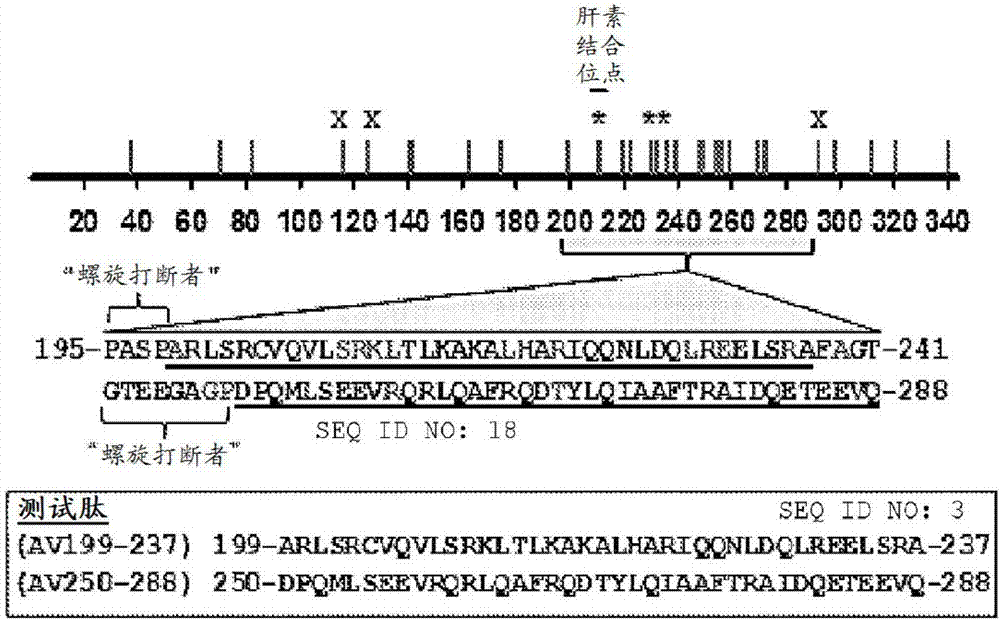 合成肽的制造方法与工艺