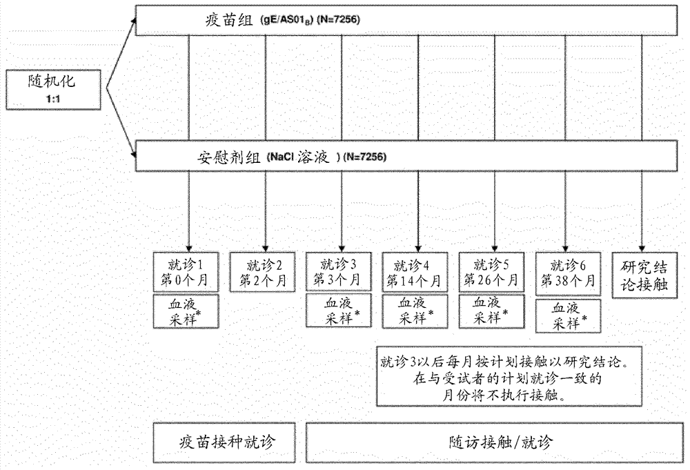 疫苗接種的制造方法與工藝