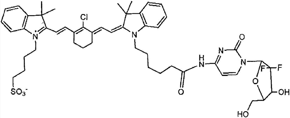 基于有機(jī)陰離子轉(zhuǎn)運(yùn)肽的癌癥成像和治療的制造方法與工藝