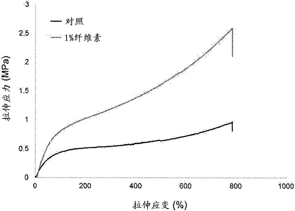 纳米复合弹性体的制造方法与工艺