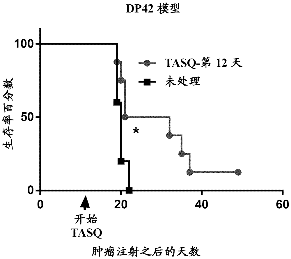 用于治疗多发性骨髓瘤的喹啉甲酰胺的制造方法与工艺