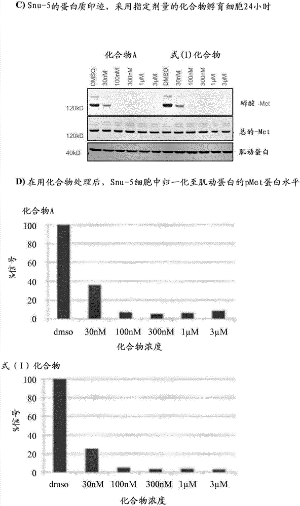 作為激酶調(diào)節(jié)劑的氘化的三唑并噠嗪的制造方法與工藝