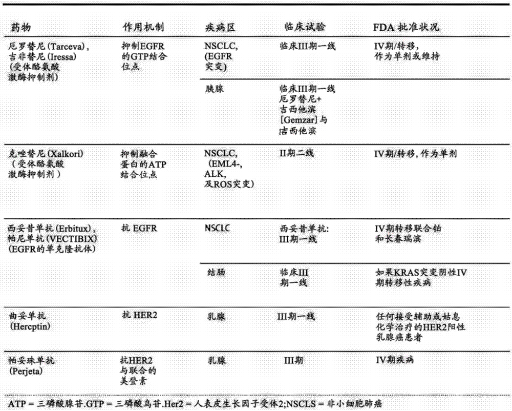 新型EGFRVIII抗体和包含所述抗体的组合物的制造方法与工艺