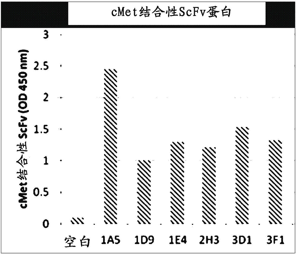 c?met特異性人抗體及其制備方法與流程