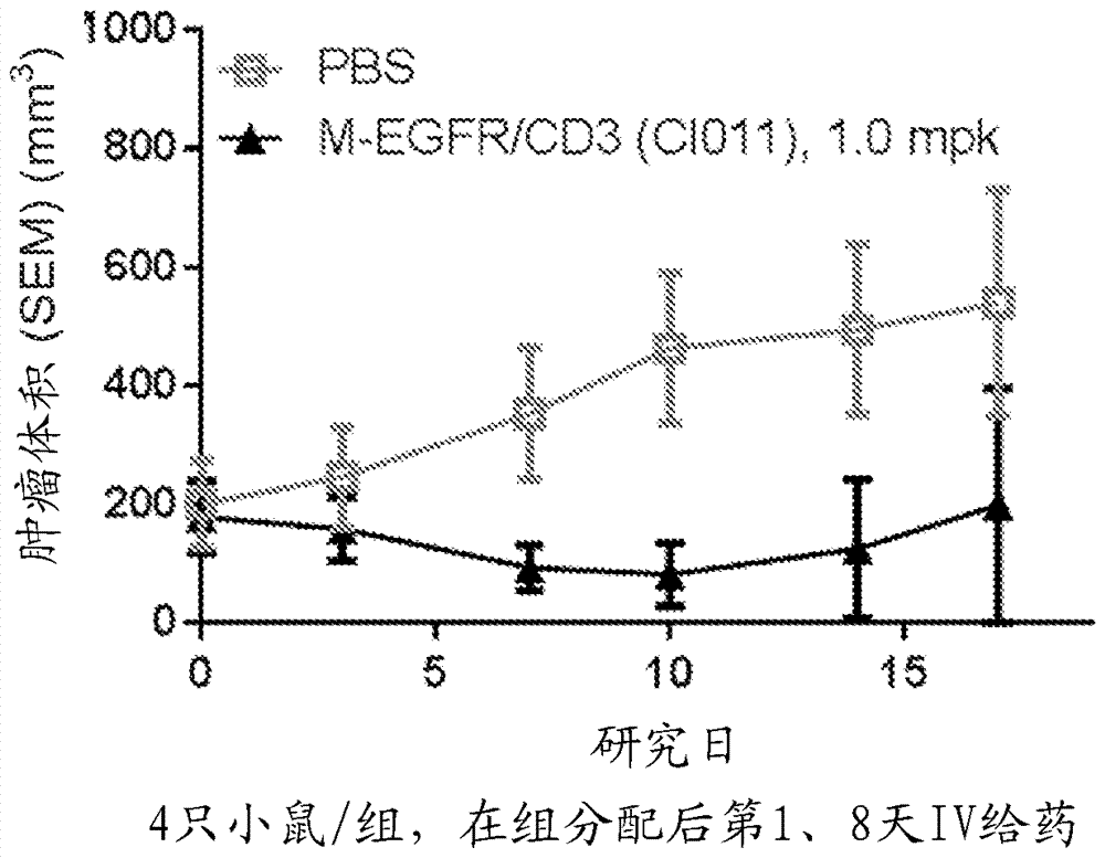 抗CD3抗體、可活化抗CD3抗體、多特異性抗CD3抗體、多特異性可活化抗CD3抗體及其使用方法與流程