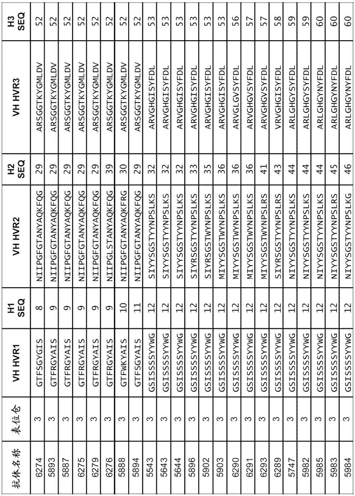 抗BACE1的抗體和其用于神經(jīng)疾病免疫療法的用途的制造方法與工藝