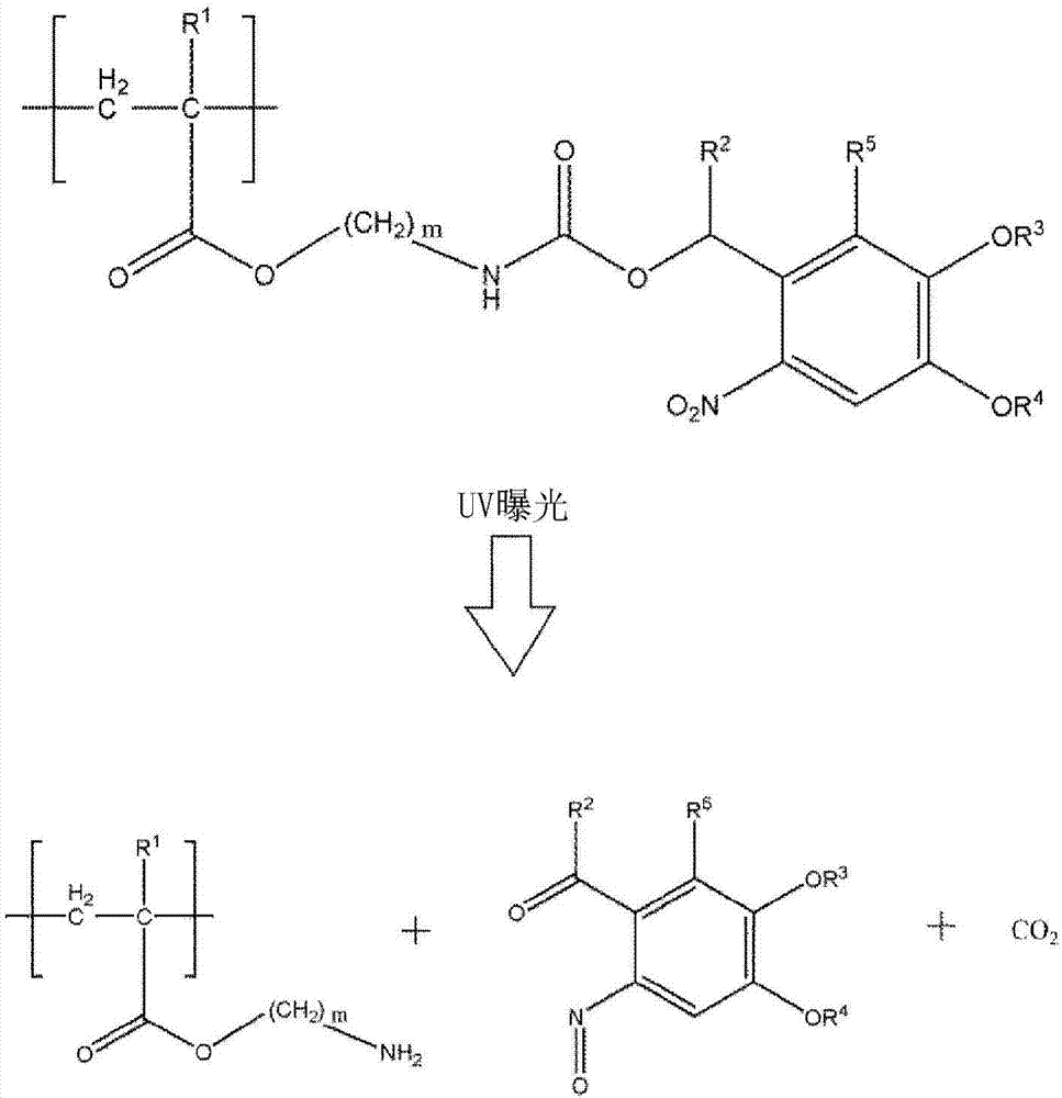 高分子化合物、表面處理劑、使用表面處理劑的層積體、晶體管、層積體的制造方法與流程